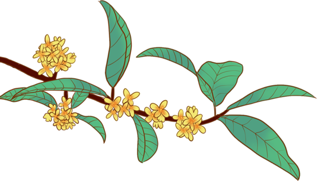 桂花.png
