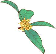 小桂花.png