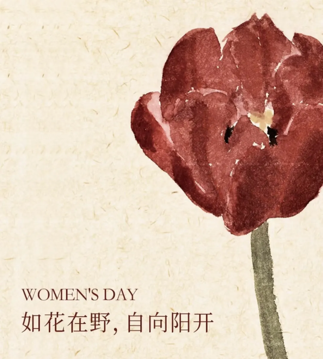 3·8女神節(jié)丨 南北特糕點，獻給每一位甜蜜女神