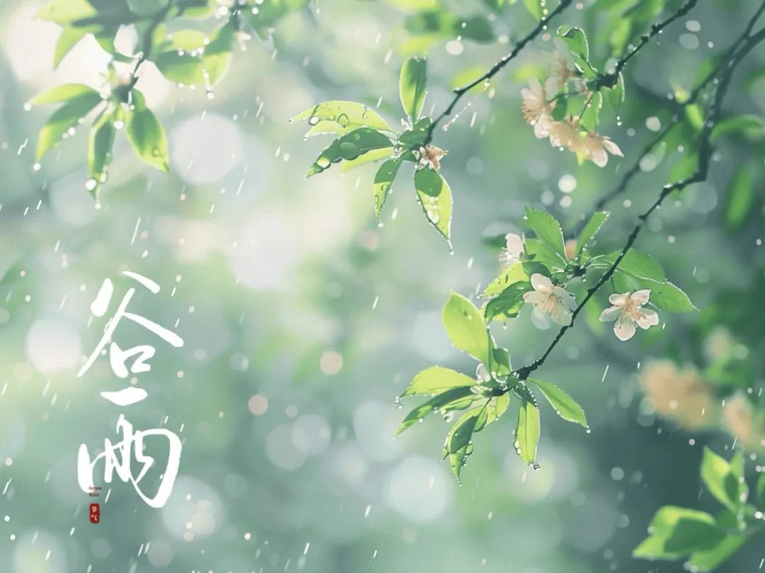 谷雨潤(rùn)萬物，酥香寄深情